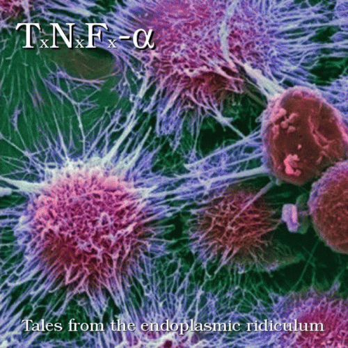 Tumor Necrosis Factor-Alpha : Tales from the Endoplasmic Ridiculum